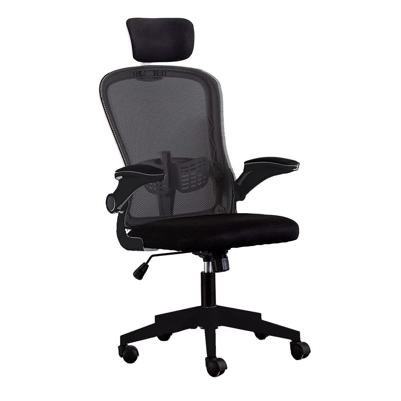 Ergo1