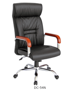 Portal dc 54n